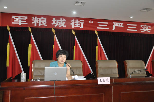 军粮城街&ldquo;三严三实&rdquo;专题党课