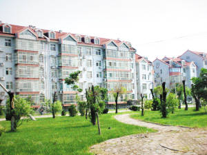 无瑕街道市容环境整治4&mdash;6月份计划
