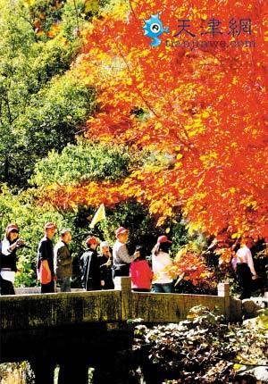 蓟县启动"赏蓟州红叶&bull;读多彩金秋"旅游活动